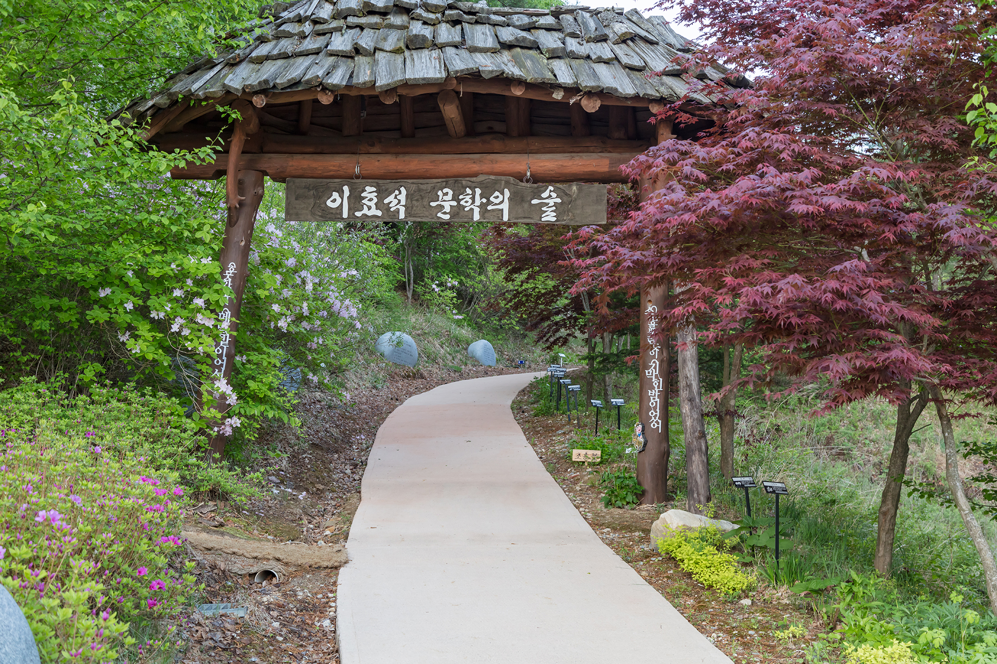 평창-효석문학의숲-(1).jpg