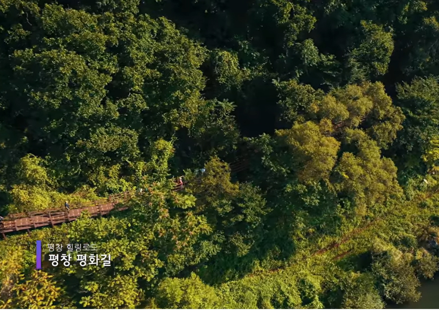 평창힐링로드.jpg
