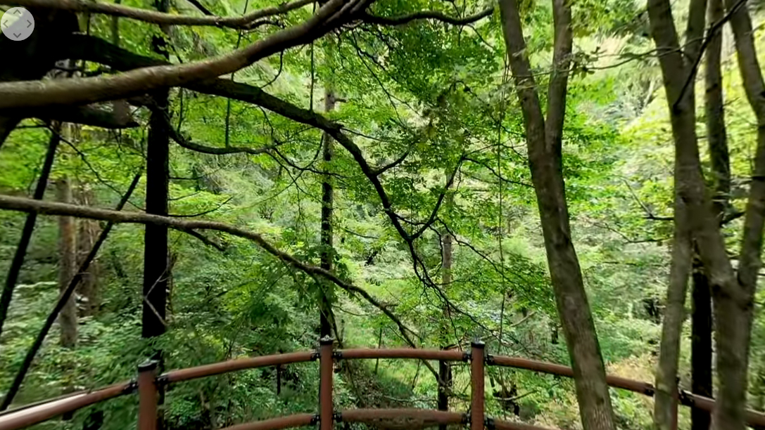 정선 백복령카르스트.jpg