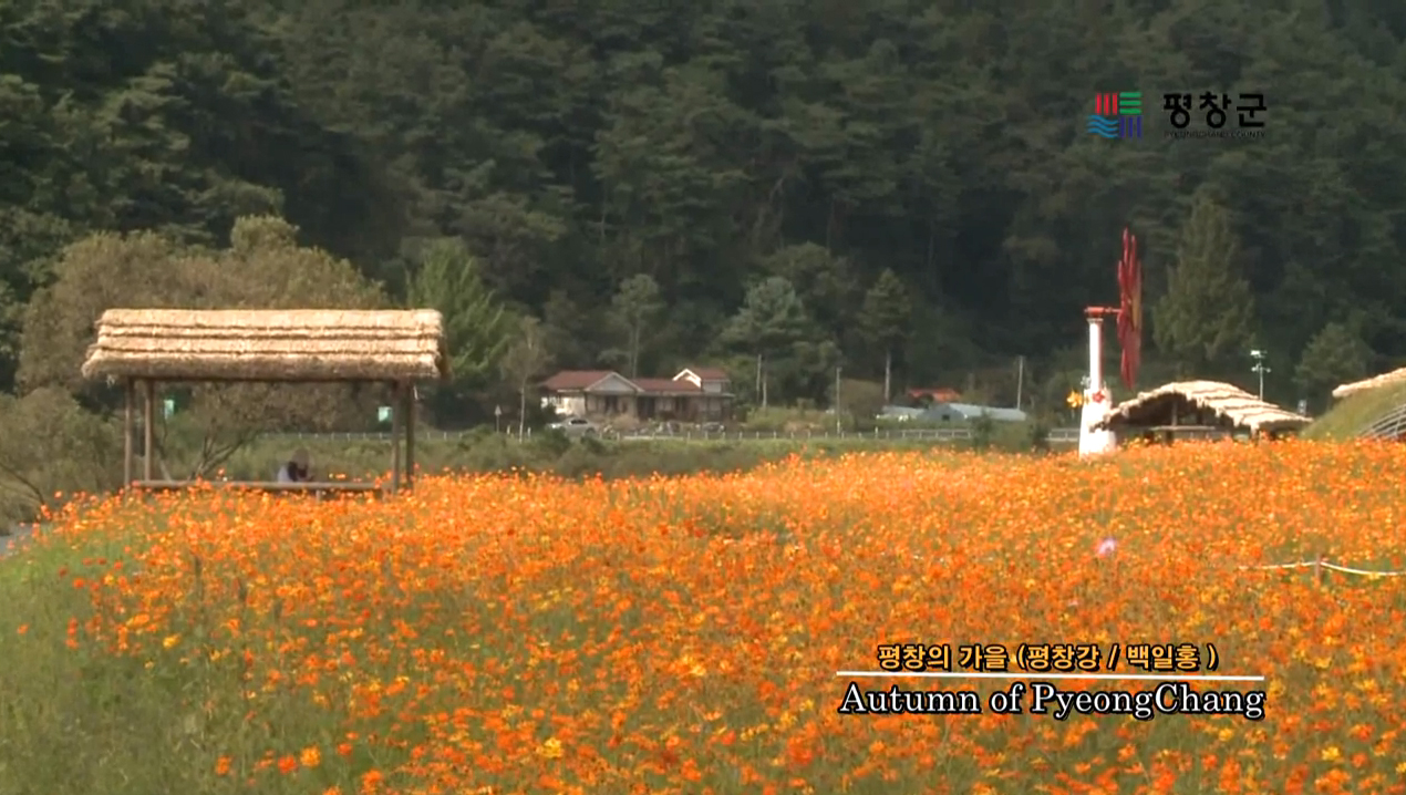 평창가을.jpg